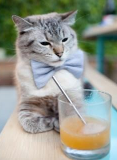 王座上的王，当勒布朗·詹姆斯同时驾驭两个战场